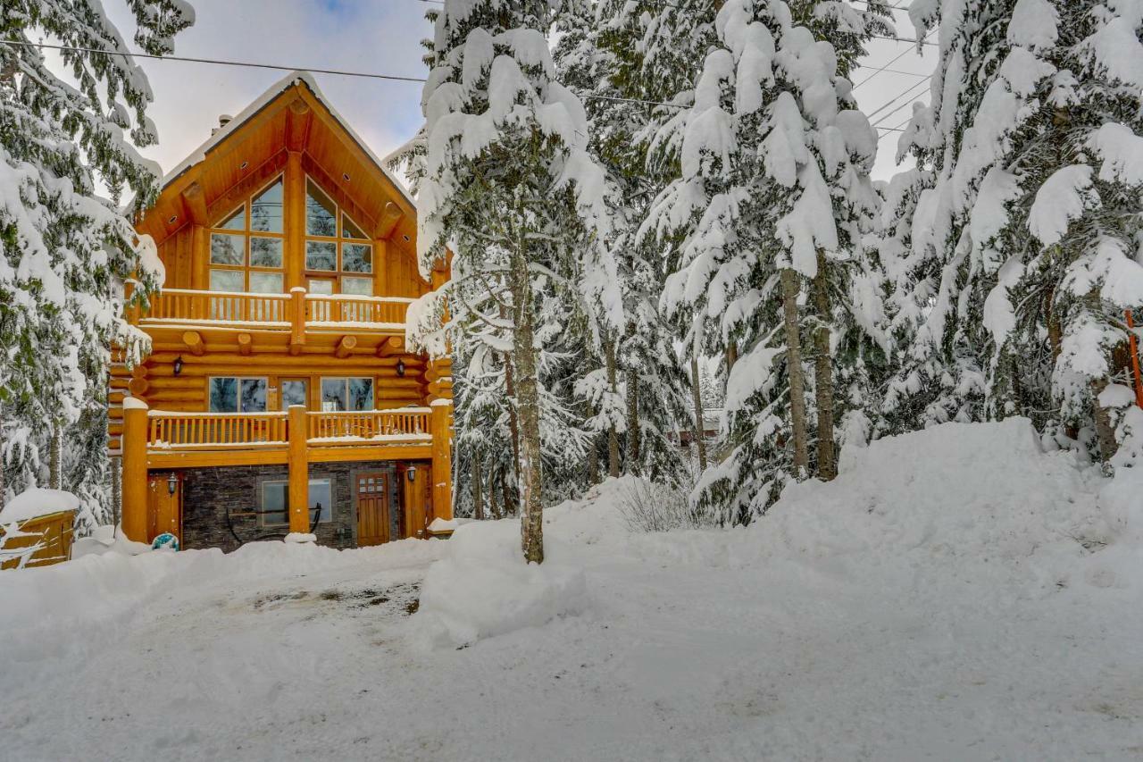 Skiing Bear Chalet Government Camp Exteriör bild